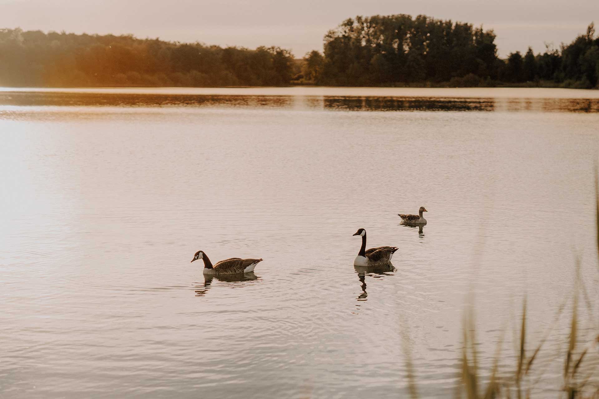 Hochzeitsfotos am See in Karlsruhe