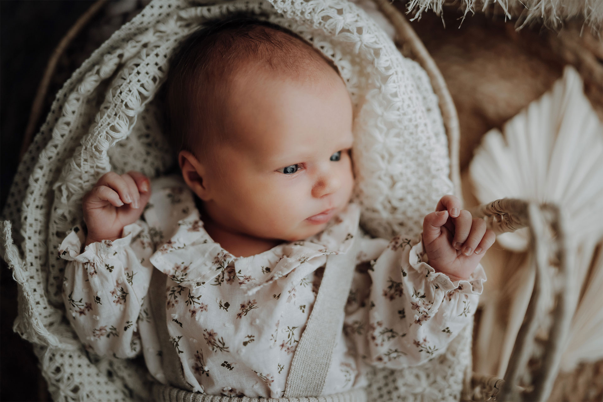 37-babyfotos-pforzheim