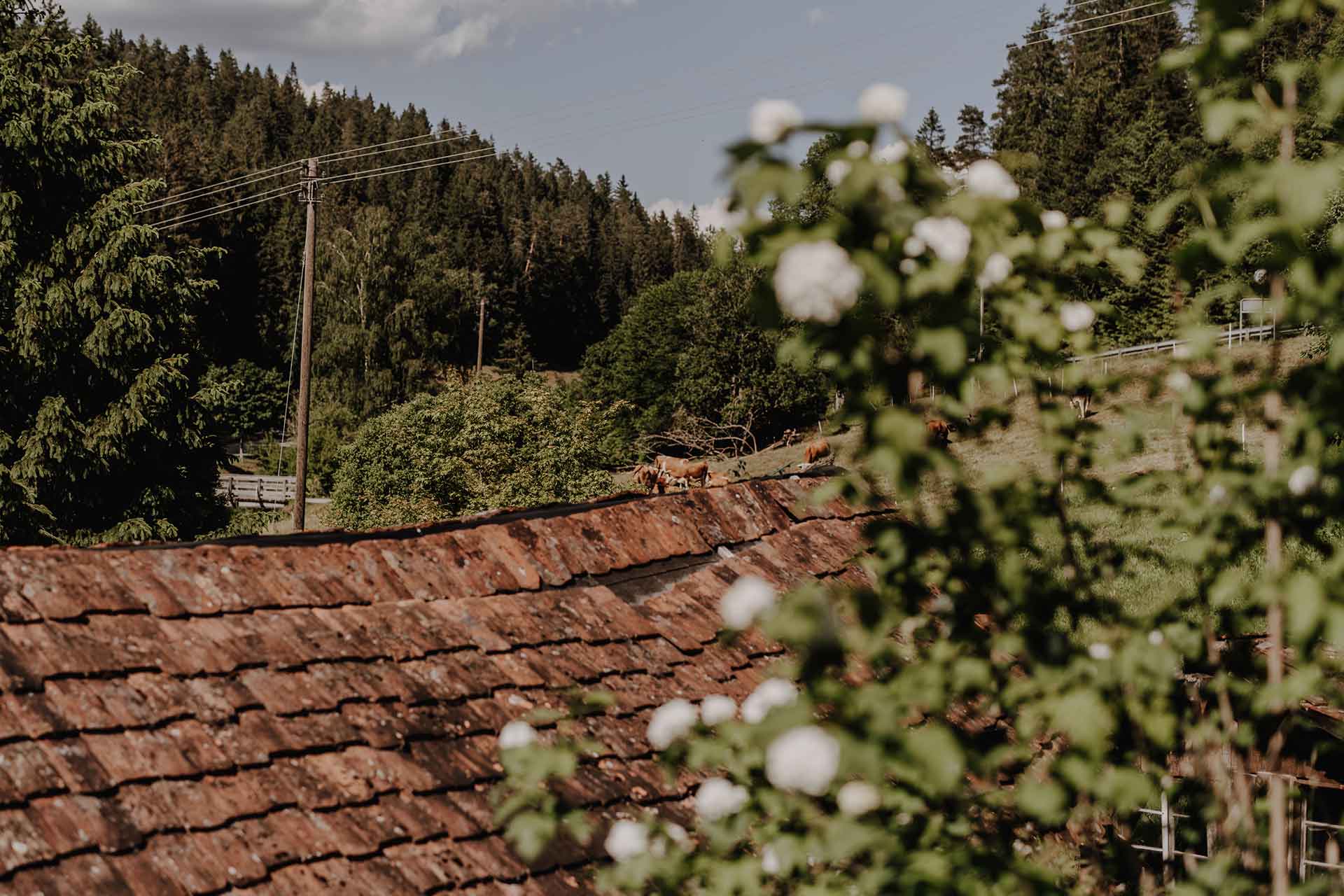 Scheunenhochzeit an der Poppelmühle im Schwarzwald